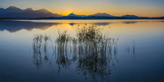 Deutschland, Ostallgäu, bei Füssen, Hopfensee bei Sonnenuntergang - WGF01272