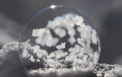 Close-up of snow globe with snowflakes - CAVF56464