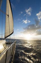 Catamaran sailing on sea against sky during sunset - CAVF56510