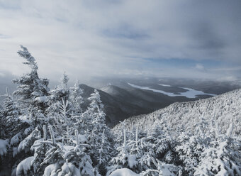 Idyllischer Blick auf schneebedeckte Bäume gegen bewölkten Himmel im Wald - CAVF56529