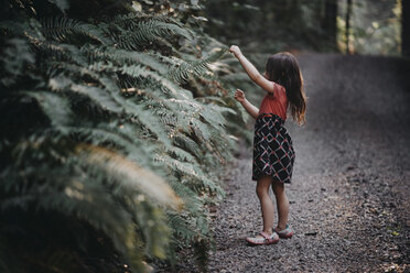Full length of girl looking at plants while standing in forest - CAVF56572