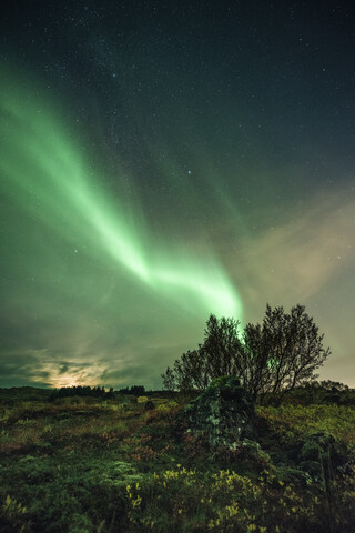 Aussicht auf Polarlichter über einem Feld bei Nacht, lizenzfreies Stockfoto