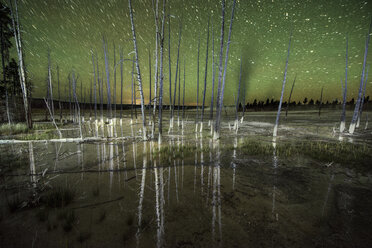 Tranquil view of bare trees against star field at Yellowstone National Park - CAVF56690