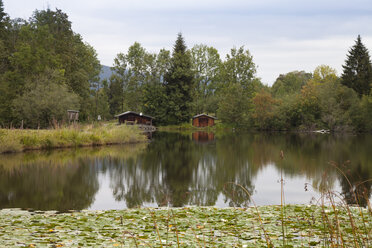 Deutschland, Bayern, Oberallgäu, Moorweiher bei Oberstdorf - WIF03671