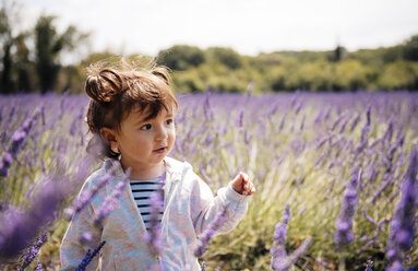 Frankreich, Grignan, Porträt eines kleinen Mädchens im Lavendelfeld - GEMF02588
