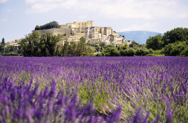 France, Grignan, view to the village with lavender field in the foreground - GEMF02596