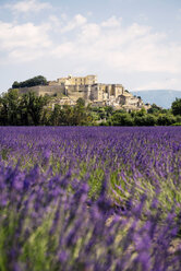 France, Grignan, view to the village with lavender field in the foreground - GEMF02597