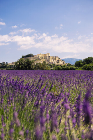 Frankreich, Grignan, Blick auf das Dorf mit Lavendelfeld im Vordergrund, lizenzfreies Stockfoto