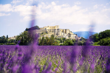 France, Grignan, view to the village with lavender field in the foreground - GEMF02599