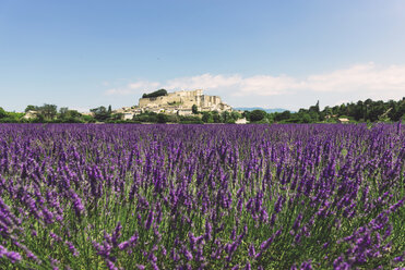 France, Grignan, view to the village with lavender field in the foreground - GEMF02611