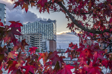 Deutschland, Hamburg, Elbphilharmonie im Herbst - KEBF01005