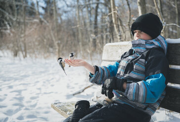 Junge mit Vögeln, die auf seiner Hand sitzen, während er im Winter auf einer Bank sitzt - CAVF56773