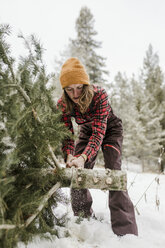 Frau beim Schneiden einer Kiefer im Wald im Winter - CAVF56847
