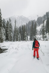 Rückansicht einer Frau mit Rucksack auf einem schneebedeckten Feld im Wald - CAVF56855