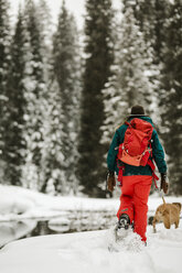 Rear view of woman with dog walking on snow covered field in forest - CAVF56859