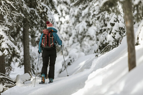 Rückansicht einer Frau mit Skiern auf einem schneebedeckten Feld im Wald - CAVF56864