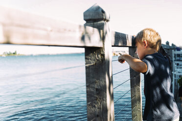 Seitenansicht eines Jungen, der durch einen Holzzaun auf die Großen Seen blickt - CAVF56981