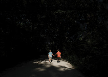 Rückansicht von Brüdern, die sich an den Händen halten, während sie auf der Straße inmitten von Silhouettenbäumen gehen - CAVF56982