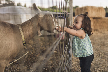 Seitenansicht eines kleinen Mädchens, das eine Ziege im Tierstall berührt - CAVF56997