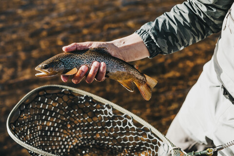 Mittelteil eines Wanderers, der einen Fisch hält, während er im Fluss steht, lizenzfreies Stockfoto