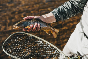 Mittelteil eines Wanderers, der einen Fisch hält, während er im Fluss steht - CAVF57151