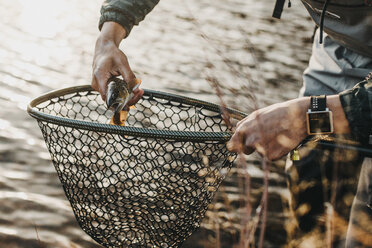 Hand of fisherman holding caught fish in river, Mozirje, Brezovica