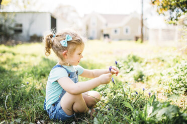 Girl playing with flowers while sitting on grassy field at backyard - CAVF57199