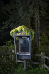 Verlassene Telefonzelle im Wald bei Nacht - CAVF57254