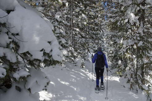 Rückansicht einer Frau beim Wandern auf einem schneebedeckten Feld im Wald - CAVF57263