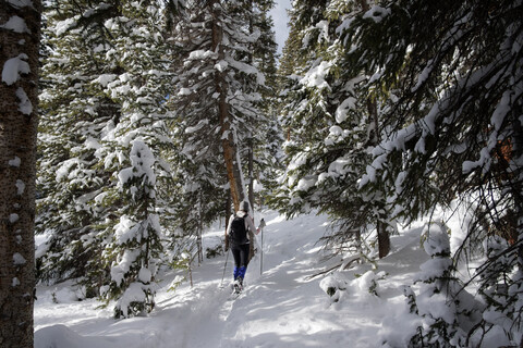 Rückansicht einer Frau beim Wandern auf einem Schneefeld im Wald, lizenzfreies Stockfoto