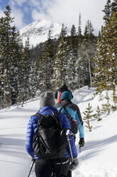 Rear view of hikers hiking in forest during winter - CAVF57266