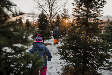 Rückansicht von Geschwistern, die auf einem schneebedeckten Feld im Wald gegen den Himmel bei Sonnenuntergang laufen - CAVF57314