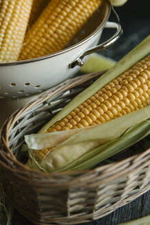 Close-up of corn in containers - CAVF57360