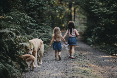 Rear view of sisters holding hands while walking amidst forest - CAVF57363