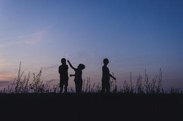 Playful silhouette brothers holding sparklers while standing on field against sky during dusk - CAVF57378