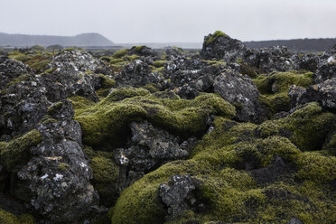 Moss growing on lava plain against sky - CAVF57429