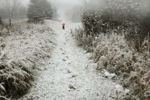 Rear view of boy with umbrella standing in forest during winter - CAVF57457