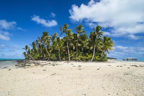 Cookinseln, Rarotonga, Lagune von Aitutaki, weißer Sandstrand und Palmenstrand, lizenzfreies Stockfoto