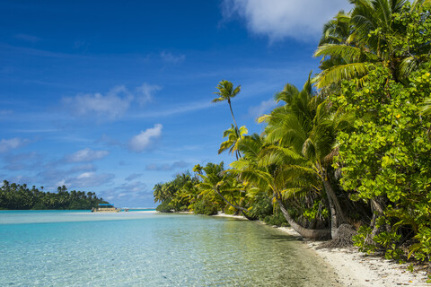 Cook Islands, Rarotonga, Aitutaki lagoon, white sand beach and palm beach stock photo