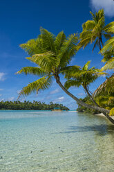 Cook Islands, Rarotonga, Aitutaki lagoon, white sand beach and palm beach - RUNF00287