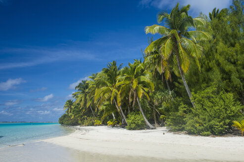 Cook Islands, Rarotonga, Aitutaki lagoon, white sand beach and palm beach - RUNF00288