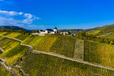 Deutschland, Rheinland-Pfalz, Weinberge und Marienburg bei Puenderich - AMF06308