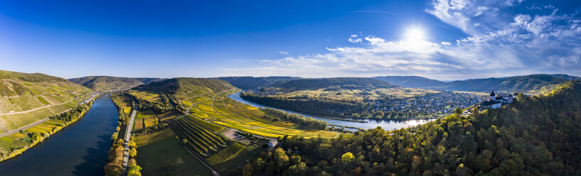 Deutschland, Rheinland-Pfalz, Weinberge und Marienburg bei Puenderich, Mosel - AMF06312