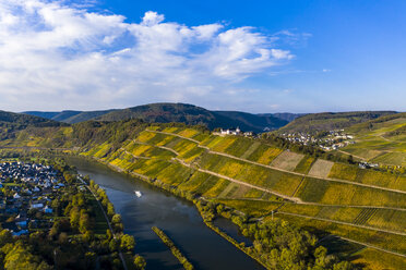 Deutschland, Rheinland-Pfalz, Weinberge und Marienburg bei Puenderich, Mosel - AMF06313