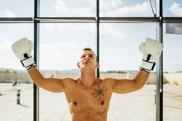 Porträt eines Boxers, der seine Arme am Fenster hebt - OCMF00129