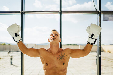 Portrait of boxer raising his arms at the window - OCMF00129