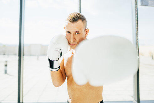 Porträt eines Boxers beim Boxen am Fenster - OCMF00130