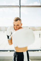 Porträt eines Boxers beim Boxen am Fenster - OCMF00131