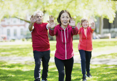 Aktive Senioren üben Tai Chi im Park - CAIF22267