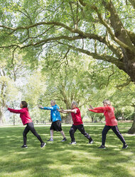 Aktive Senioren üben Tai Chi im Park unter einem Baum - CAIF22320